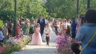 Розовая свадьба на Фестивале роз в Аткарске. 4 августа  2018 г.