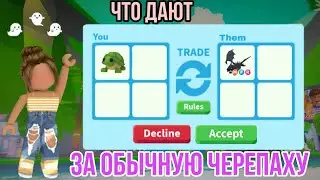 что дают за обычную черепаху ТОП ТРЕЙДЫ адопт ми
