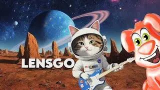 The cat went on a space journey in search of 