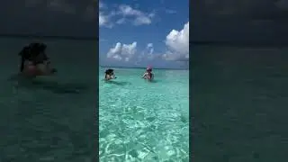 Девушка Литвина поймала черепаху