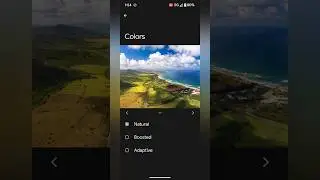 How to Change Screen Color Mode in Google Pixel 8 and Pixel 8 Pro 