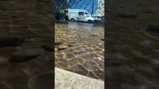 Весна в Батуми | Городские съемки | Макдональдс