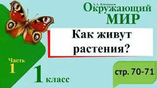 Как живут растения? Окружающий мир. 1 класс, 1 часть. Учебник А. Плешаков стр. 70-71