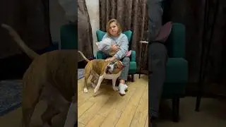 Будни нашей семьи..🙄🙎🏻‍♀️🧒