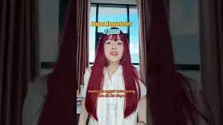 #pov
