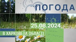 Прогноз погоди в Харкові та Харківській області на 25 серпня