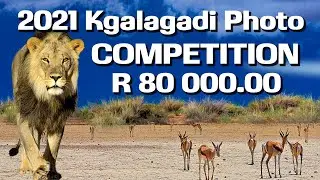 2021 Kgalagadi Photographic Competition