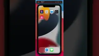 Certificate based authentication on iOS (Swift)