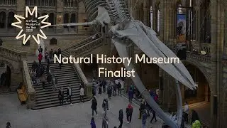 Natural History Museum: Art Fund Museum of the Year 2023 Finalist