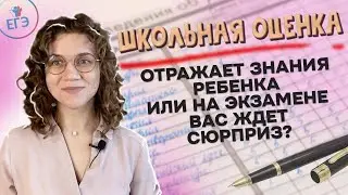 Оценка школьных знаний: как проверить реальный уровень знаний у ребенка? Важны ли отметки в школе?