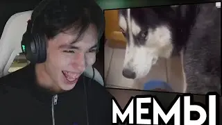 АСЛАН ШУКАША СМОТРИТ МЕМЫ