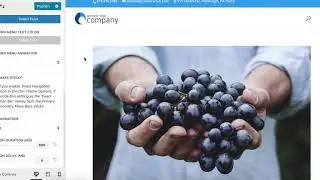 Divi Sticky Secondary Header Demo