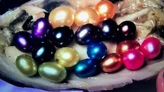 TWIN PEARLS A POPPIN! DOUBLE DIP SURPRISE DISCOVERY! ON FUN HOUSE TV