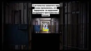 Ходилки дрочилки