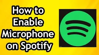 How to Allow or Enable Microphone on Spotify App
