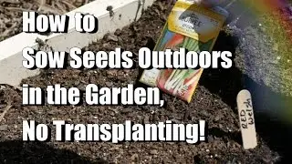 How I Plant the Garden Outdoors with Seeds (No Transplants) Direct Sowing The Square Foot Garden