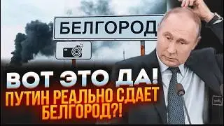 🔥7 МИНУТ НАЗАД! В Белгород и Курск ЗАХОДЯТ подкрепления ВСУ! Силовики рф в ПАНИКЕ стреляют ПО СВОИМ