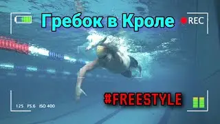 ГРЕБОК В КРОЛЕ, РАЗБОР ТЕХНИКИ 