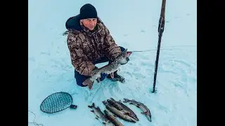 Рыбалка сетями