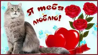 Я тебя так сильно люблю! Красивое признание в любви! Невероятные слова! Видео с милым голосом