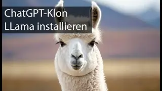 ChatGPT-Klon LLama: Tutorial für die Installation