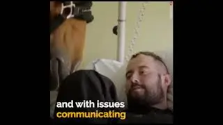 Peyo, The Therapists