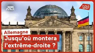 Allemagne : jusqu'où montera l'extrême-droite ?