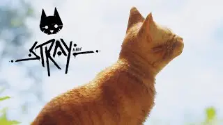 КОТ ОСТАЛСЯ ОДИН, но ДОБРАЛСЯ до АУТСАЙДА Симулятор Кота / Stray (финал)