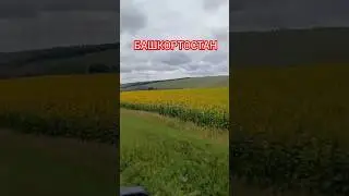 #башкортостан #природа #дорога