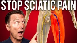 The Best STRETCH to Stop Sciatica Pain