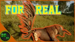 My Thoughts On The New Great One! Call Of The Wild