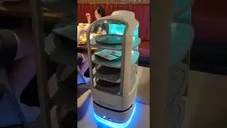 [K-robot]Woorierobot