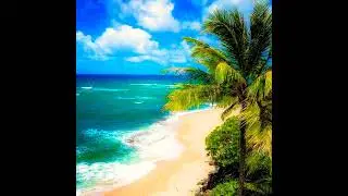 #oahu #oahulife #oahuhikes #oahusurflessons #oahuhawaii #oahugardenhub  #hawaii #travel #visit