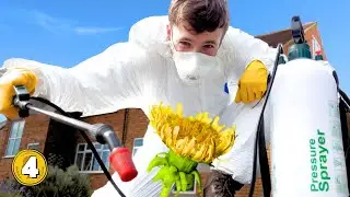 I Started a FREE Weed Killing Business