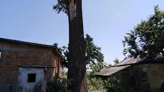 СПИЛ ДЕРЕВЬЕВ в БРОВАРАХ +380675046248