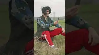 Панти века 