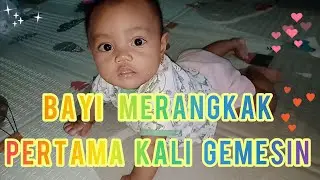 Bayi Merangkak Pertama Kali Butuh Perjuangan