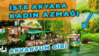 İşte Akyaka’daki Azmak Nehri: Niye Daha Önce Gelmedim !!! (Yazın Bile BUZ gibi)