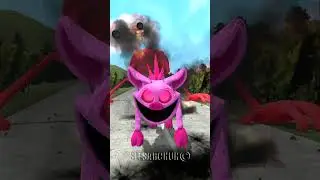 EVOLUTION SMILING CRITTERS PICKY PIGGY POPPY 3 VS KNUCKLES TAPES in Garry's Mod !? #smilingcritters