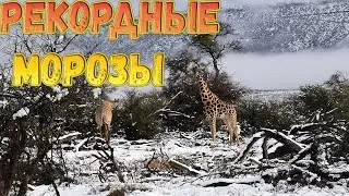 На юге Африки зафиксировали рекордные морозы
