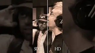 New Bee Gees Videos 