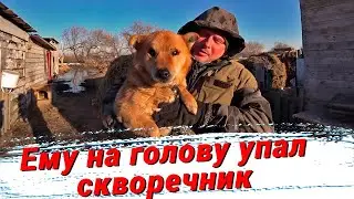 Спасаемся от потопа. Доим коров, поим телят. Начались окролы. Уронили скворечник при монтаже.