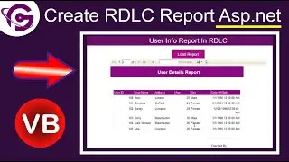 How To Create RDLC Report In Asp.Net With SQL Using VB Step By Step | ProgrammingGeek