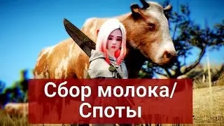 Споты для сбора молока/Как собирать молоко?Black Desert/Блек Дезерт