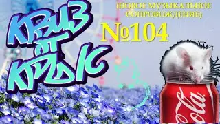 КВИЗ от КРЫС эпизод 104 (новое музыкальное сопровождение)