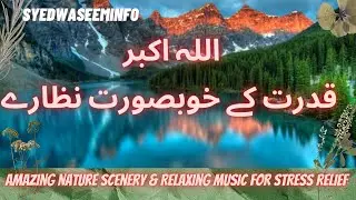 Amazing Nature Scenery & Relaxing Music for Stress Relief l Ultimate Wild Animals and nature