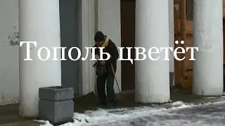 Тополь цветёт. Фильм. Анатолий Алексеевич Васильев. Искусствовед Владимир Васильев