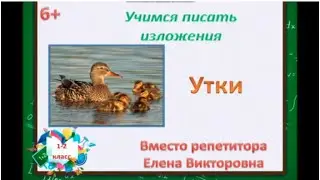 14. Как научиться писать изложение? Изложение 