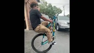 He's Back! Wild Bike Life Action 