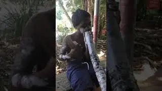 Aboriginal Australia - Women don't play didgeridoo because they can get pregnant.